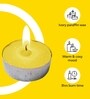 Coconut Lime Tealight Candles Set of 50