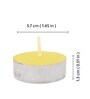 Coconut Lime Tealight Candles Set of 50
