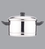 Tarragon 4 Plates Silver Stainless Steel Idli Steamer