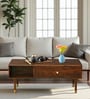 Codamine Sheesham Wood Coffee Table In Walnut Finish