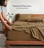 Coffee Brown 210 TC Cotton King Size Bedsheet with 2 Embroidered Pillow Covers