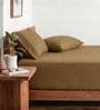 Coffee Brown 210 TC Cotton King Size Bedsheet with 2 Embroidered Pillow Covers