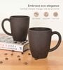 Coffee Classic Coffee Mug 300 ml (1 Pc)Rice Husk Biocomposite