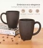 Coffee Classic Coffee Mug 300 ml (2 Pc)Rice Husk Biocomposite