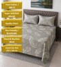 Coffee Floral 400 TC Cotton Queen Flat Bedsheet with 2 Pillow Covers Essential Collection
