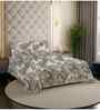 Coffee Leaf 200 TC Cotton Queen Size Double Bedsheet with 2 Pillow Covers