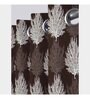 Coffee Polyester Floral 7Ft Semisheer Eyelet Door Curtain (1 Pc)