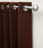 Coffee Polyester Solid 5ft Blackout Eyelet Window Curtain (1 Pc)