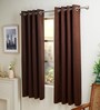 Coffee Polyester Solid 5ft Blackout Eyelet Window Curtain (2 Pc)