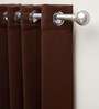 Coffee Polyester Solid 5ft Blackout Eyelet Window Curtain (2 Pc)