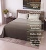 Coffee Shade Solid 400 TC Super King Size Bedsheet with 2 Pillow Covers Luxury Series Collection