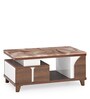 Sydney Marble Top Coffee Table in Natural Finish