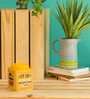Coffee Time Iron Storage Tin In Yellow