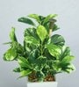 Pvc Coin Leaf Leaf Bonsai With White Ceramic Pot Artificial Plants