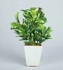 Pvc Coin Leaf Leaf Bonsai With White Ceramic Pot Artificial Plants
