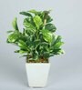 Pvc Coin Leaf Leaf Bonsai With White Ceramic Pot Artificial Plants