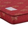 Beetle Plus Bonded & PU Foam 4 Inch Queen Size Mattress