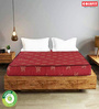 Beetle Plus Bonded & PU Foam 4 Inch Single Size Mattress