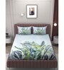 Blue 250 TC Microfiber King Sized Double Bedsheet with 2 Pillow Covers
