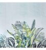 Blue 250 TC Microfiber King Sized Double Bedsheet with 2 Pillow Covers