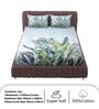 Blue 250 TC Microfiber King Sized Double Bedsheet with 2 Pillow Covers