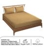 Beige Traditional 300 TC Microfiber King Sized Double Bedsheet with 2 Pillow Covers
