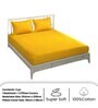 Yellow Traditional 300 TC Microfiber Queen Sized Double Bedsheet with 2 Pillow Covers