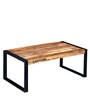 Coleman Metal & Solid Wood Coffee Table