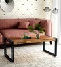 Coleman Metal & Solid Wood Coffee Table