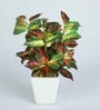 Coleus Pvc Coleus Artificial Bonsai With White Ceramic Pot
