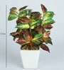 Coleus Pvc Coleus Artificial Bonsai With White Ceramic Pot