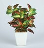 Coleus Pvc Coleus Artificial Bonsai With White Ceramic Pot