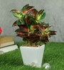 Coleus Pvc Coleus Artificial Bonsai With White Ceramic Pot
