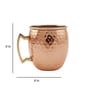 Coley 500ml Gold Copper (Set of 2) Cocktail Glass