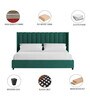 Colina Velvet Upholstered King Size Bed in Pine Green Colour