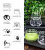 Slender Glass Whiskey Glasses (Set of 6)