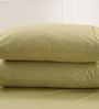 Green Solid 200 TC Cotton 1 Double King Size Bedsheet with 2 Pillow Covers