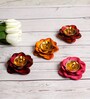 Colored Rose Brass Dia Set of 4