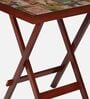 Colour Print Solid Wood Side Table in Brown Colour