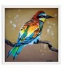 Colourful Bird Handmade Acrylic Paint On Canvas Unframed