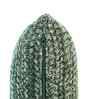 Combu Green 100% Cotton Anna16X16 Inches Knitted Cushion Cover