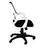 Comet Breathable Mesh Ergonomic Chair in Black & White Colour