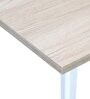 Comet Executive Office Desk with Pedestal in Light Brown Colour