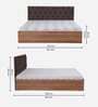 Comet Queen Size Bed in Exotic Teak Finish with Box Storage
