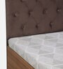 Comet Queen Size Bed in Exotic Teak Finish with Box Storage