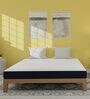 Italian Ortho 6 Inch Memory Foam Mattress In Queen Size