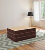 Cezt 4 Inch Foam (72x48) In Beige Colour Queen Folding Mattress