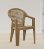 Comfy Plastic Chair in Beige Finish, Set of 2