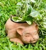 Brown Companion Kitty Clay Planter