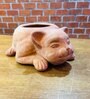 Brown Companion Kitty Clay Planter